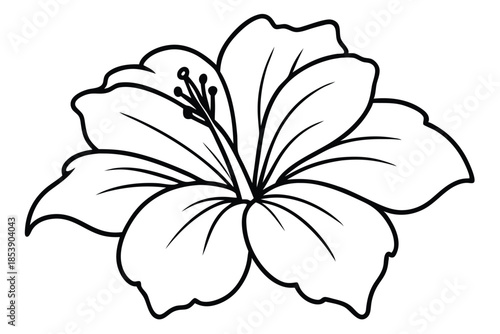 hibiscus silhouette line art vector illustration with a white background
