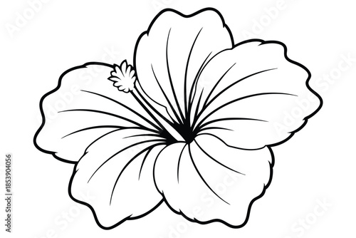 hibiscus silhouette line art vector illustration with a white background