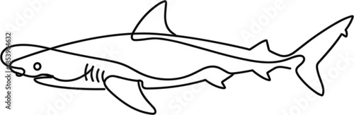 Minimalist black and white line of a shark line cartoon