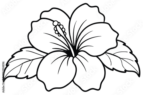 hibiscus silhouette line art vector illustration with a white background