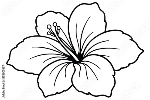 hibiscus silhouette line art vector illustration with a white background