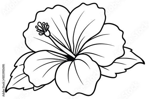 hibiscus silhouette line art vector illustration with a white background