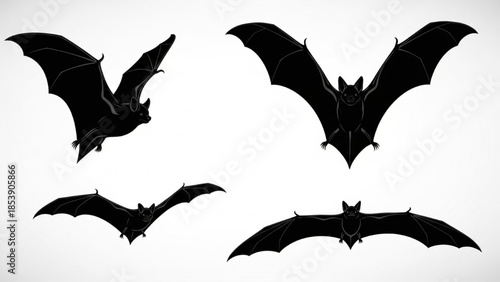 Black Bat Silhouette Vector Showing Flight Angles Front Side Gliding and Landing
