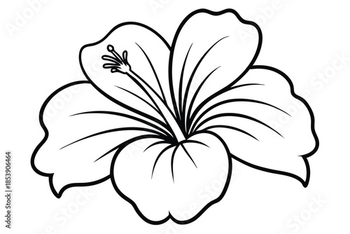 hibiscus silhouette line art vector illustration with a white background