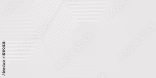 Hexagon white gray wave light technology texture background. Abstract big data digital concept simple art modern abstract