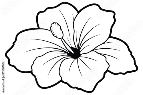 hibiscus silhouette line art vector illustration with a white background