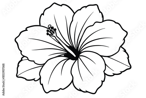 hibiscus silhouette line art vector illustration with a white background