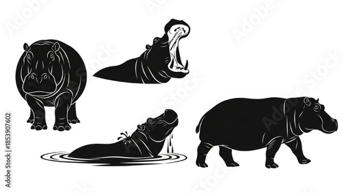 Black Hippo Silhouette Vector Showing Natural Actions Standing Yawning Bathing and Walking