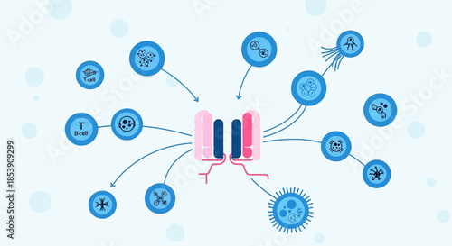 Immune system interaction and cellular communication depicted through a stylized illustration of