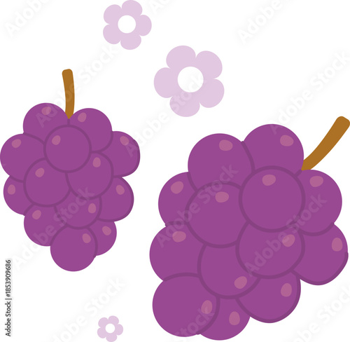 Cute Grape