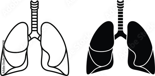 Detailed human lungs illustration with branching airways a striking silhouette on transparent background