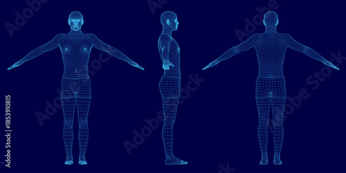 A 3D wireframe model of a human figure in a T-pose against a blue background. The detailed anatomical mesh reveals the underlying structure of the body.