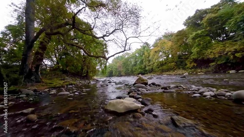 秋の川辺を飛ぶ
