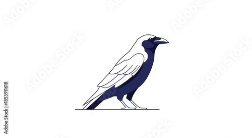 Detailed line art drawing of a crow or raven standing in profile with dark blue and white tones and fine feather details on wings.