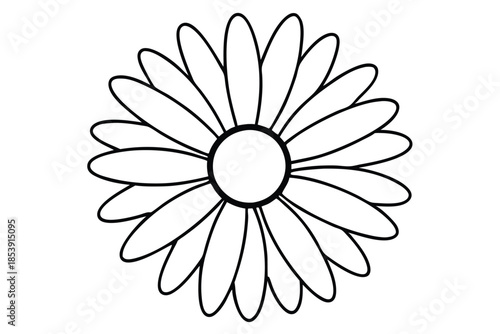 daisy silhouette line art vector illustration with a white background
