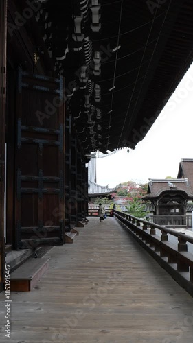 京都、知恩院、寺院、紅葉、黃葉、庭園、歴史的建造物、木造階建、木、日本庭園、秋、青空、光、絶景、写真素材