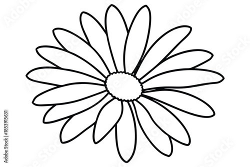 daisy silhouette line art vector illustration with a white background