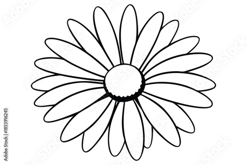 daisy silhouette line art vector illustration with a white background