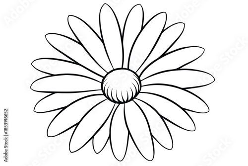 daisy silhouette line art vector illustration with a white background