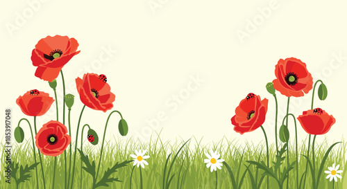 Field of bright red poppies and delicate white daisies growing in green grass with small ladybugs crawling on the petals.