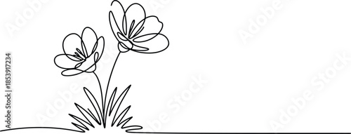 A graceful continuous line drawing depicts two blooming flowers with intricate petals and lush grass on white