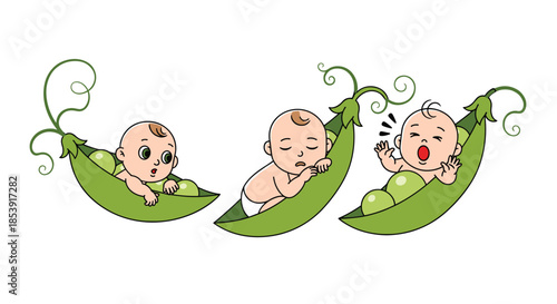 Three adorable cartoon babies peeking out from green pea pods showing different emotions like curiosity, sleepiness, and crying.