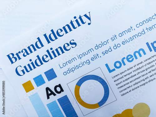 Brand Identity guidelines showing on the paper with color palate and font selection background. Branding, designing, guidelines.