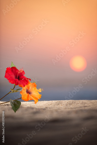 夕日の砂浜とハイビスカス
