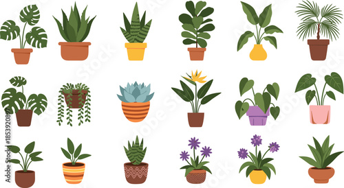 Indoor house plants collection in pots set, decorative home garden greenery illustration, botanical design elements, cad drawing flat vector illustration