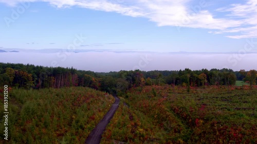 山から望む霧に覆われた町