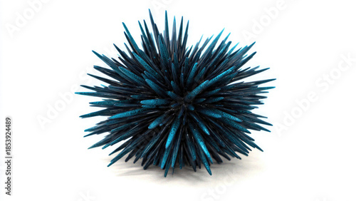 Blue Sea Urchin on Isolated Background