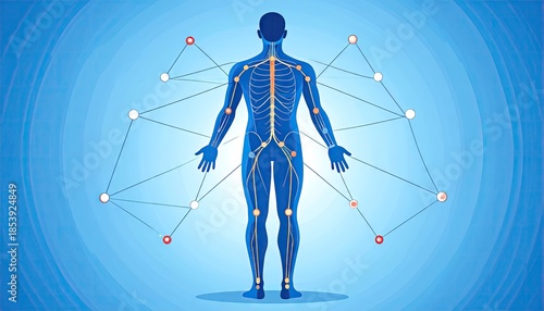 Human Body Network Blue Light Anatomy Illustration