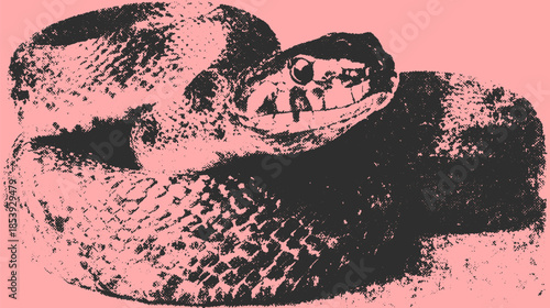 Snake illustration on a pink background with a black design. A detailed vector art set featuring a unique style and flat appearance.