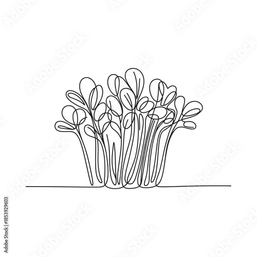 Minimalist line drawing of sprouting plants with delicate leaves and stems