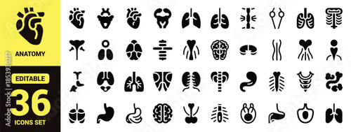 Human Internal Organ Icon Set with Minimalist Black Vector Symbols of Heart, Lungs, Brain, Stomach, Kidneys and Skeleton for Medical Design