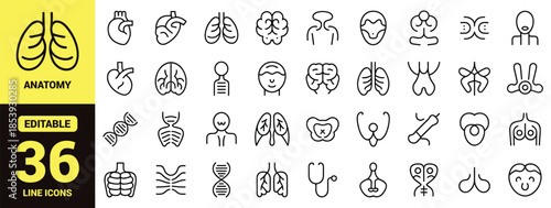 Human Internal Organ Icon Set with Minimalist Black Vector Symbols of Heart, Lungs, Brain, Stomach, Kidneys and Skeleton for Medical Design