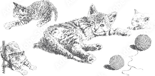 Kitten drawing in black and white. Detailed vector illustration featuring cute cats playing with yarn in a set.