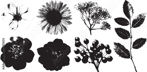 Silhouette flowers and foliage in a black vector set. Botanical illustrations featuring various blooms and leaves for decorative purposes.