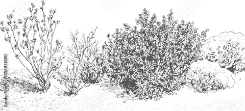 Various plants and shrubs set in detailed line art style. Natural botanical illustration showcasing flora in a vintage design vector.