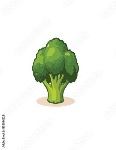 broccoli isolated on white background