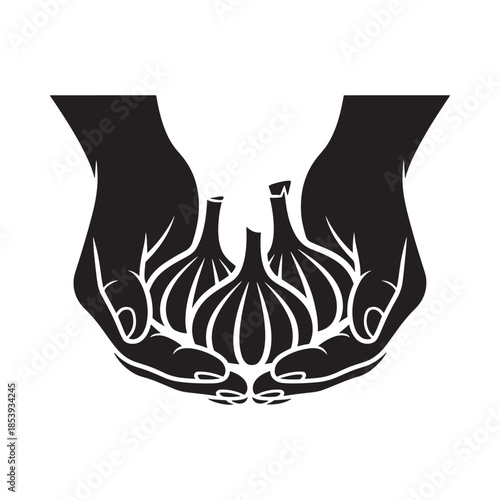 Hands gently cradling a bulb of garlic a symbol of care
