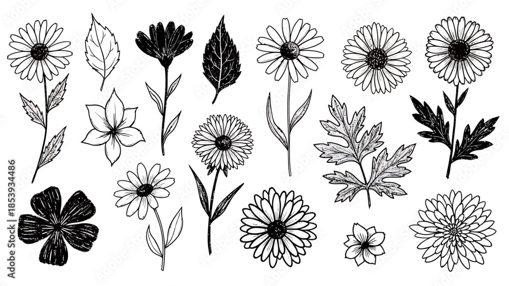 Fototapeta premium Collection of hand-drawn floral illustrations featuring daisies, leaves, and various botanical elements in a sketch style