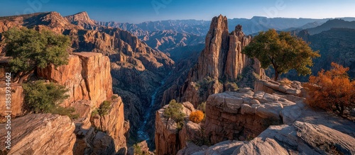 Scenic vista of a canyon with sharp rock formations and trees