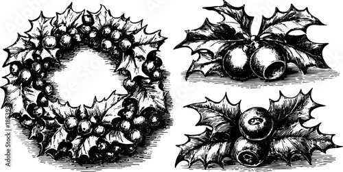 Vintage holly wreath illustration with berries and leaves. Classic vector design for decorative use in various projects.