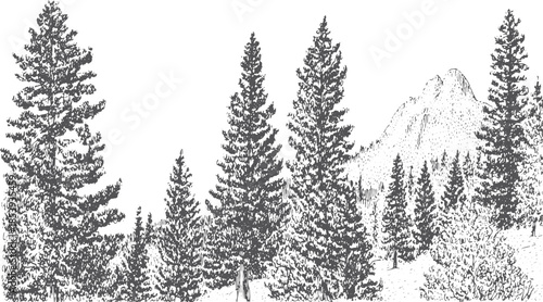 Illustration of trees in silhouette with mountains. Black and white vector graphic set depicting a forest landscape.