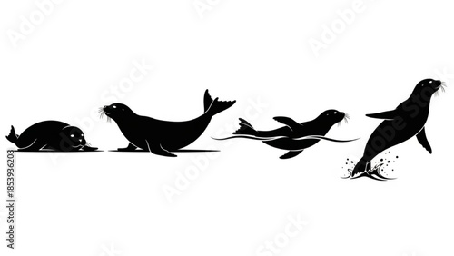 Black Seal Silhouette Vector Showing Resting Sliding Swimming and Jumping Poses