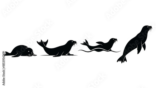 Black Seal Silhouette Vector Showing Resting Sliding Swimming and Jumping Poses