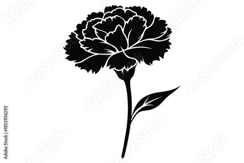 carnation silhouette line art vector illustration with a white background