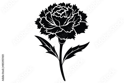 carnation silhouette line art vector illustration with a white background