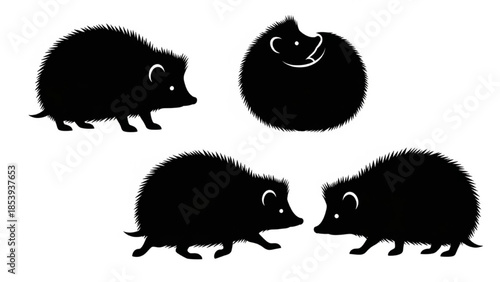 Black Hedgehog Silhouette Vector Showing Standing Curled Running and Sniffing Poses